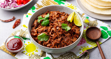 Mexican shredded beef with tortillas, vegetables and sauce. Grey background. Close up.