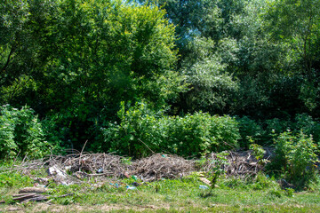 Many garbage dumped on the field