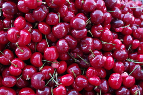 Cherry Fruit Red Market