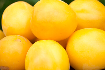 yellow plums