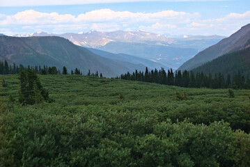 Summer Colorado Mountain Landscape