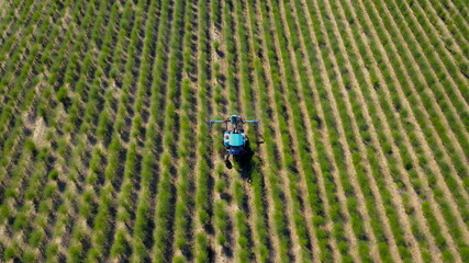 Spritzen von Pflanzenschutzmittel auf einem Acker