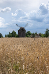 Wiatrak Holandia © Karolina