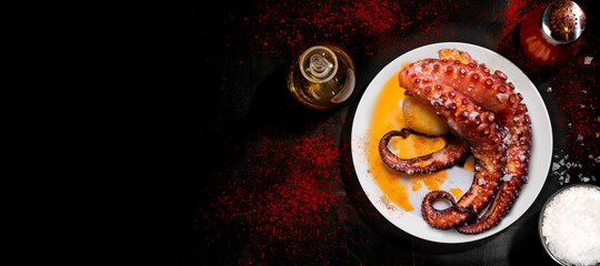 octopus plate with copy space in banner format