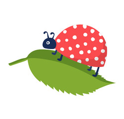 Springtime cute wild ladybug character, flying and rest spring tree leaf isolated on white, flat vector illustration. Design woodland ladybird blossom mood, wood forest rushing beetle.