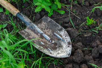 Shovel on the ground in close-up.