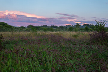 Beautiful foggy field in the summer evening in the countryside. Horizontal image. 