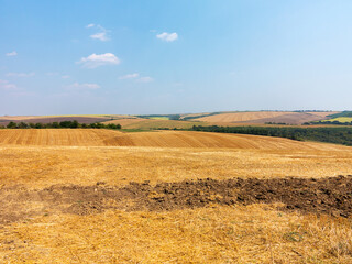 mown field on a bright autumn day. Collect grain harvest. Farming, idyll landscape background