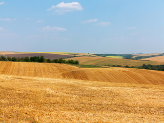 Fototapeta premium mown field on a bright autumn day. Collect grain harvest. Farming, idyll landscape background