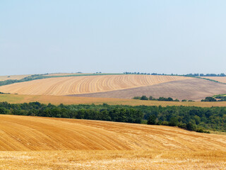 Fototapeta na wymiar mown field on a bright autumn day. Collect grain harvest. Farming, idyll landscape background
