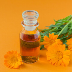 Calendula products. Bottle of cosmetic or essential oil and fresh calendula flowers on orange background. Aromatherapy, spa, wellness concept