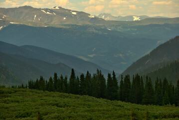 Fototapeta premium Summer Colorado Mountain Landscape