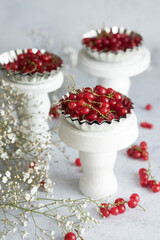 Fresh brunches of red currant on light background.