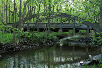 An historic concrete bridge spanning a creek in the forest