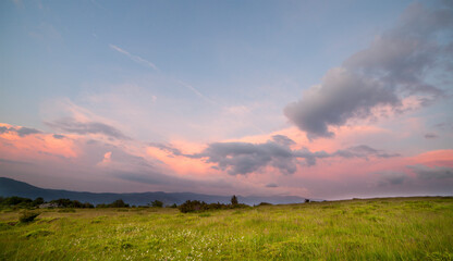 Sunset over green field