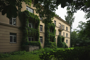 Fototapeta na wymiar the facade of Stalin's houses was overgrown with greenery