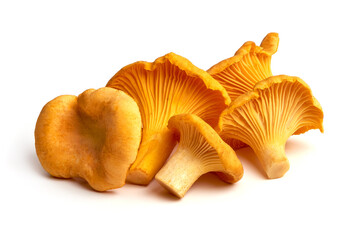 Chanterelles mushrooms, isolated on white background - obrazy, fototapety, plakaty