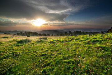 Obraz premium Sunset over green field