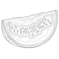 Watermelon.Coloring book antistress for children and adults. Zen-tangle style.
black and white sketch
