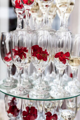 Champagne glasses