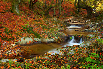 Mountain river in late Autumn