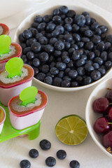 homemade sorbet in ice cream makers with berries