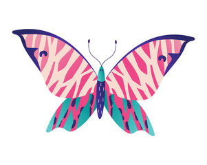 Wild wildlife forest butterfly isolated on white, icon cartoon vector illustration. Living nature animal moth insect. Outdoor silkworm up close, beautiful woodland flight papillon life.