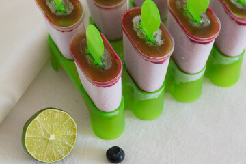homemade sorbet in ice cream makers with berries