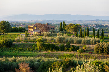 Fototapeta na wymiar Tuscany, Italy - Landscape