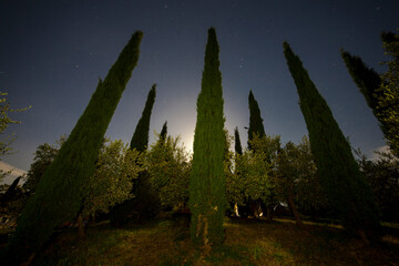 Tuscan garden at night