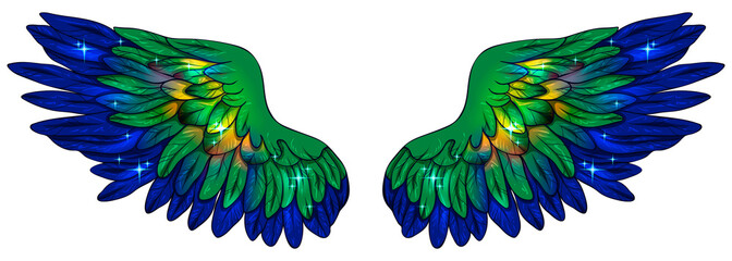Beautiful magic glittery bright peacock wings, vector
