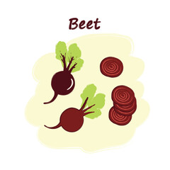 Sliced vegetables with titles, cute drawings, set of cut beets. Vector