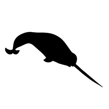 recommend clip art: Narwhal silhouette vector logo. Arctic sea whale black shape.