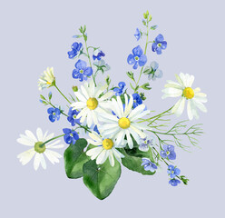 Watercolor composition of chamomile and blue flowers
