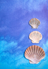 Summer vacation on sea concept with sea shells and blue background copy space