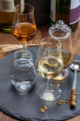 Scotch single malt and blended whisky tasting on distillery in Scotland