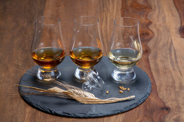 Scotch single malt and blended whisky tasting on distillery in Scotland