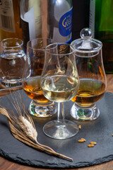 Scotch single malt and blended whisky tasting on distillery in Scotland