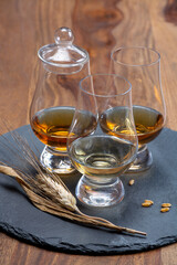 Scotch single malt and blended whisky tasting on distillery in Scotland