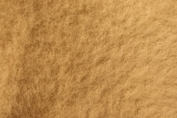 Light brown wool fabric texture. Mustard color background.