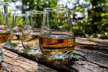 Tasting of different Scotch whiskies on outdoor terrace, dram of whiskey