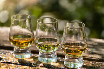 Tasting of different Scotch whiskies on outdoor terrace, dram of whiskey