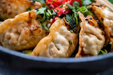 Tasty asian food, homemade deep fried chicken gyoza dumplings