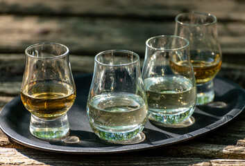 Tasting of different Scotch whiskies on outdoor terrace, dram of whiskey