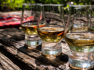 Tasting of different Scotch whiskies on outdoor terrace, dram of whiskey and red tartan