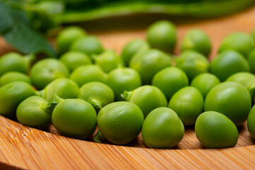 New harvest of ripe green peas legumes