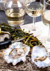 Fresh open zeeuwse creuse pacific or japanese oysters molluscs on fish market in Netherlands