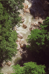 The rapid flow of a mountain river