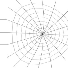 Naklejka premium Web. Internet spider web. The web is a hacker's paradise. Content for the designer.