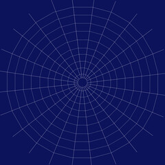 Naklejka premium Web. Internet spider web. The web is a hacker's paradise. Content for the designer.